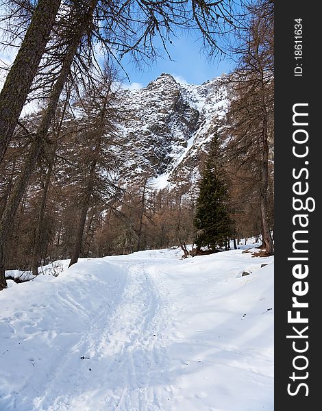 Icy Valley. Top of Cane’s Valley during winter, before a snowfall. Brixia province, Lombardy region, Italy