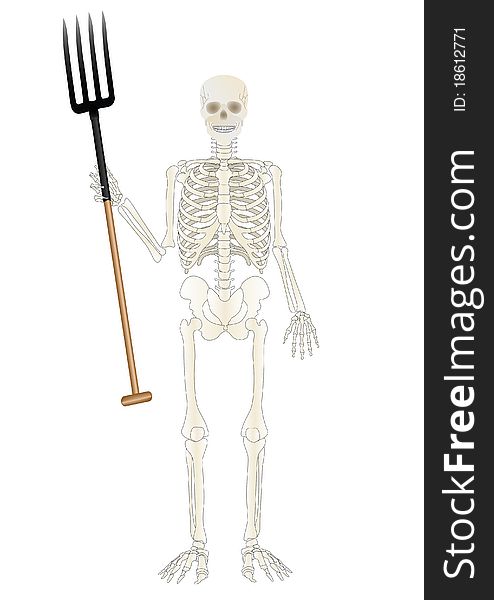 A skeleton of the person with a pitchfork. A skeleton of the person with a pitchfork