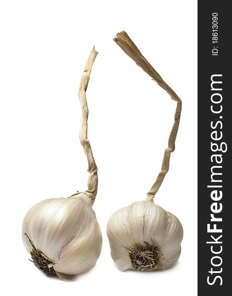 Two garlics isolated on the white background