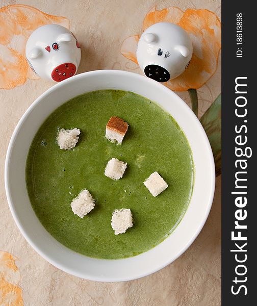Vegetarian spinach organic green soup
