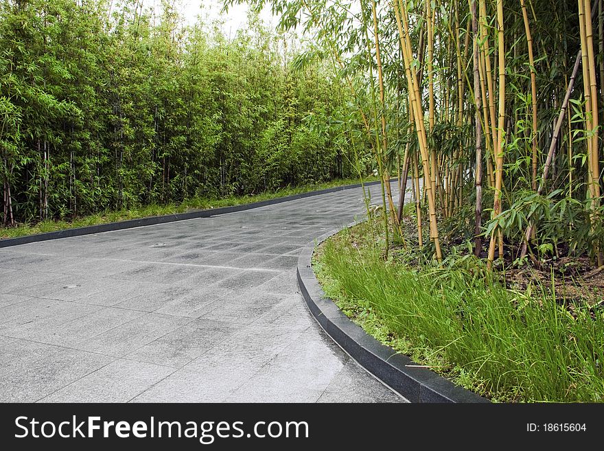 A path between bamboo forest.