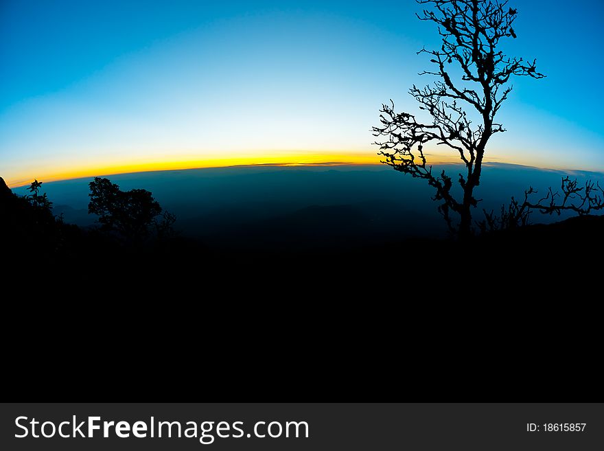 Silhouettes of the trees, the mountain views, the skyline. Silhouettes of the trees, the mountain views, the skyline.
