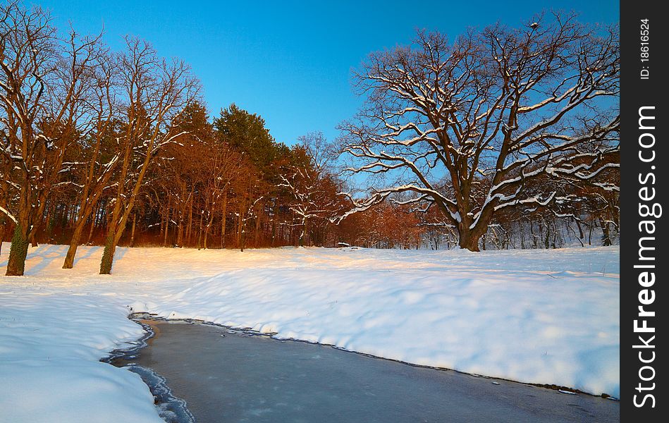 Beautiful winter landscape with snow covered trees