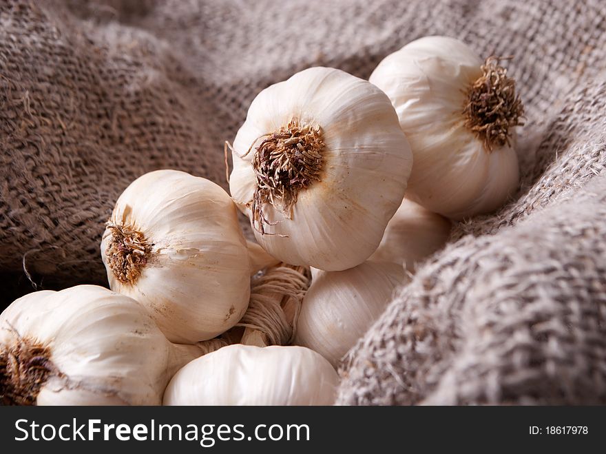 Close up of garlics on flex linen. Close up of garlics on flex linen