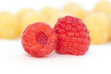Red Raspberry Stock Photo Red Raspberry Stock Photo