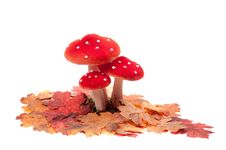 Red Dotted Decoration Mushrooms Royalty Free Stock Images Red Dotted Decoration Mushrooms Royalty Free Stock Images