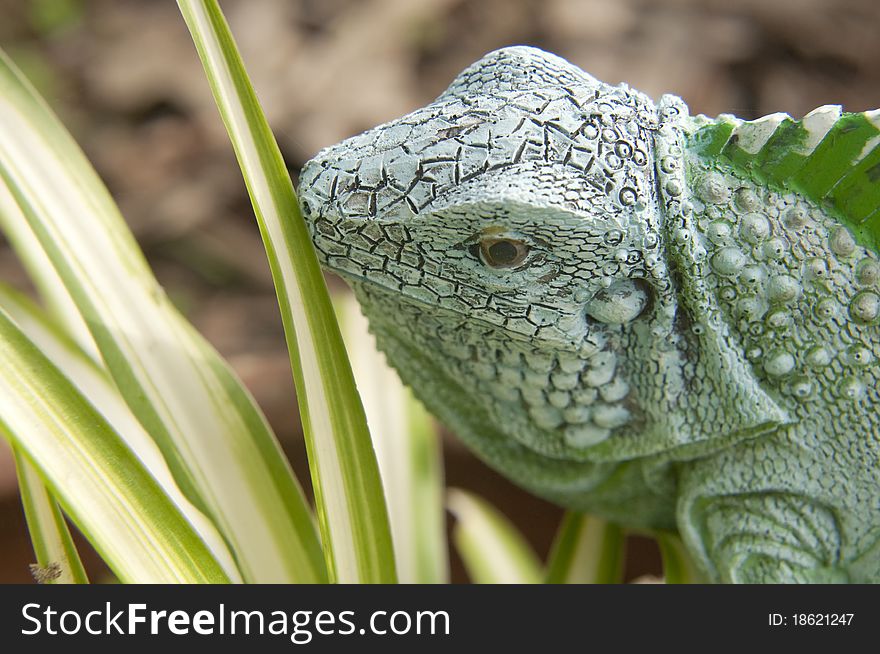 An ornamental dragon sits in a garden beside and alluminium plant. An ornamental dragon sits in a garden beside and alluminium plant