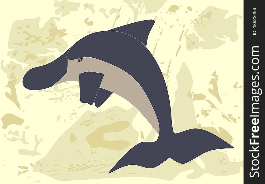 Cute dolphin on grunge background