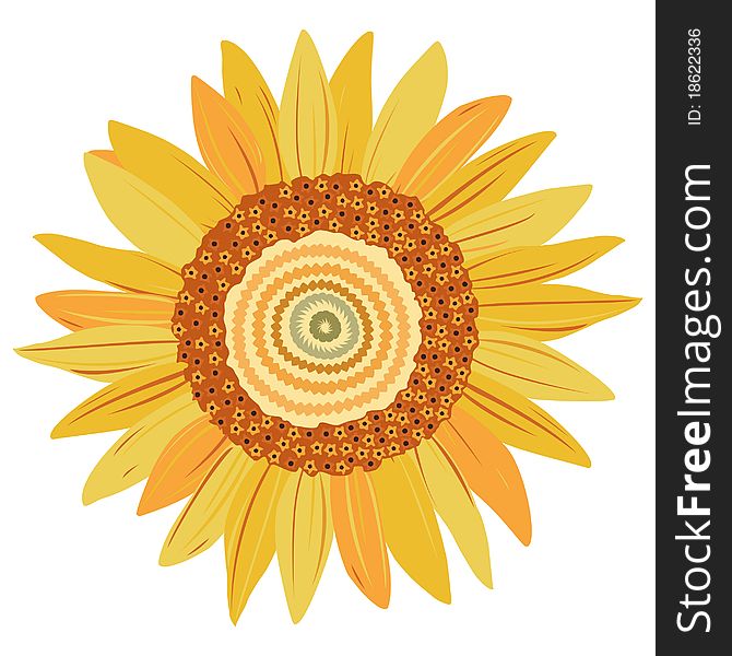 Cute illustration of sunflower with detailed ornament