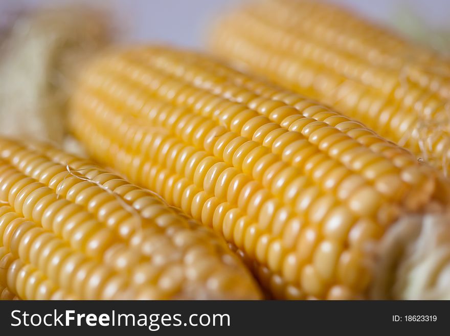 Fresh corn on light background. Fresh corn on light background