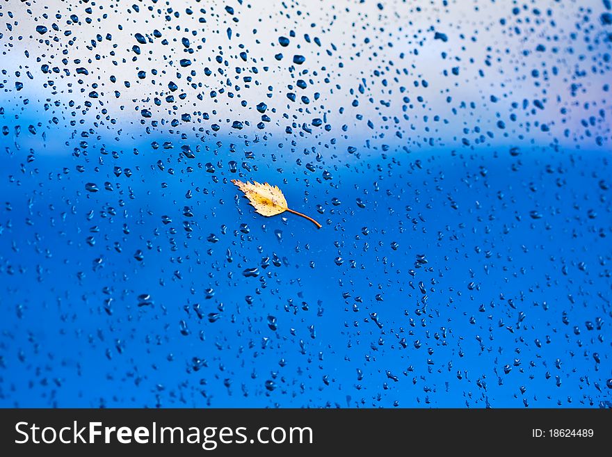 Leaf drop glass autumn sky