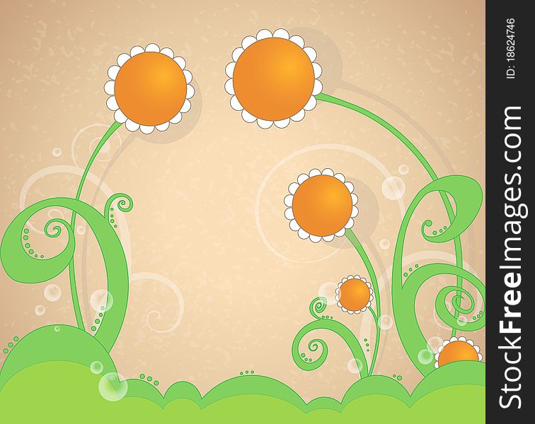 Floral background with daisies cartoon. Floral background with daisies cartoon