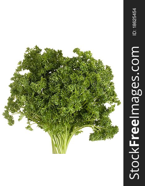 A beam of curly parsley on a white background.