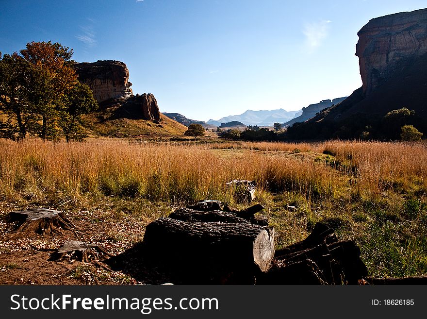 The Drakensberg Mountains in South Africa are impressive. One almost feels like being in Canada, especially when the leaves are brown. The Drakensberg Mountains in South Africa are impressive. One almost feels like being in Canada, especially when the leaves are brown.