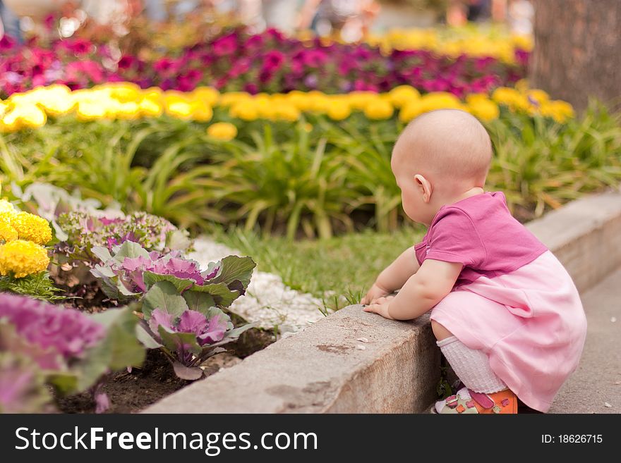 Sitting Girl Looking To Flower