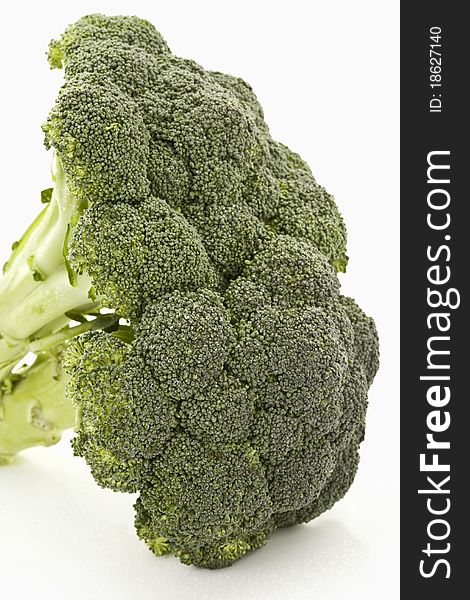 Close up view of a broccoli on a white background