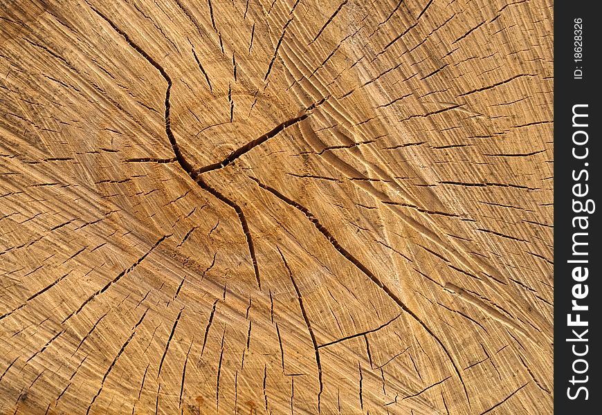 Close Up of a piece of lumber. Close Up of a piece of lumber