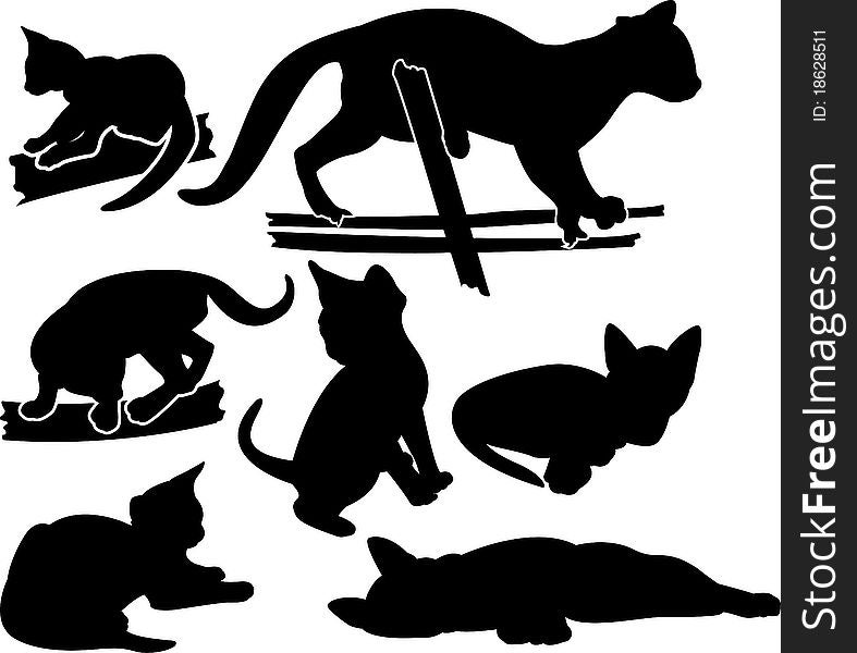 Set of kittens silhouettes in different poses