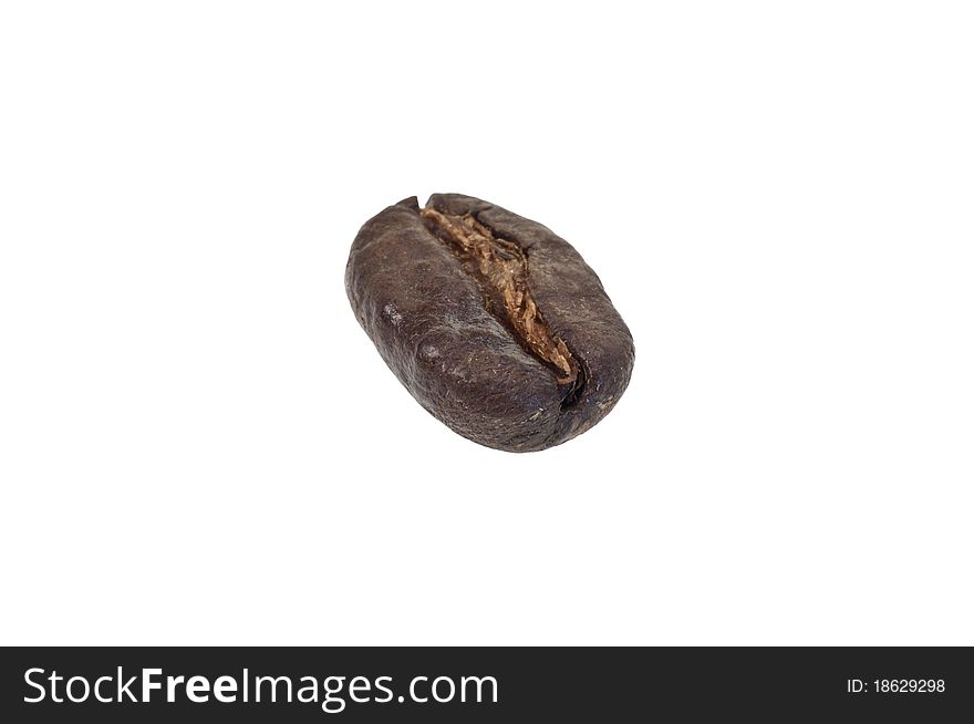 One Coffee bean isolated