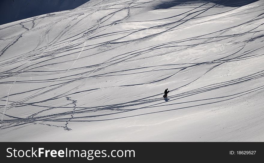 Tracks In The Winter Landscape