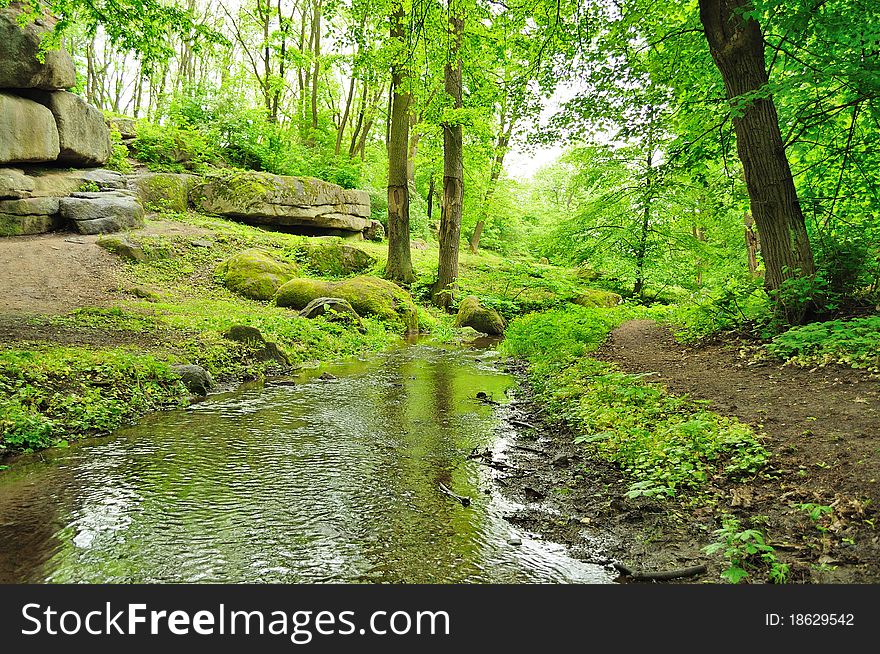 Picturesque bend of the river in an abandoned park. Picturesque bend of the river in an abandoned park