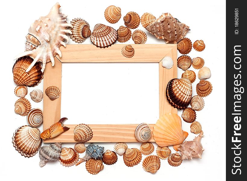 Holiday Beach Concept With Shells