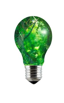 Enchanted Forest Lightbulb Royalty Free Stock Image Enchanted Forest Lightbulb Royalty Free Stock Image