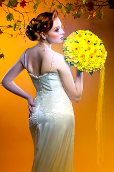 Beautiful Bride Indoors Stock Images