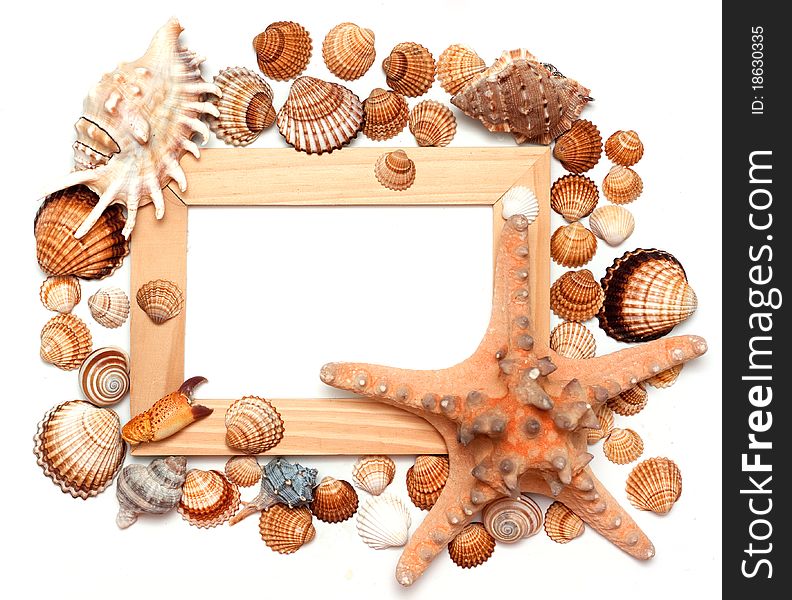 Holiday beach concept with shells