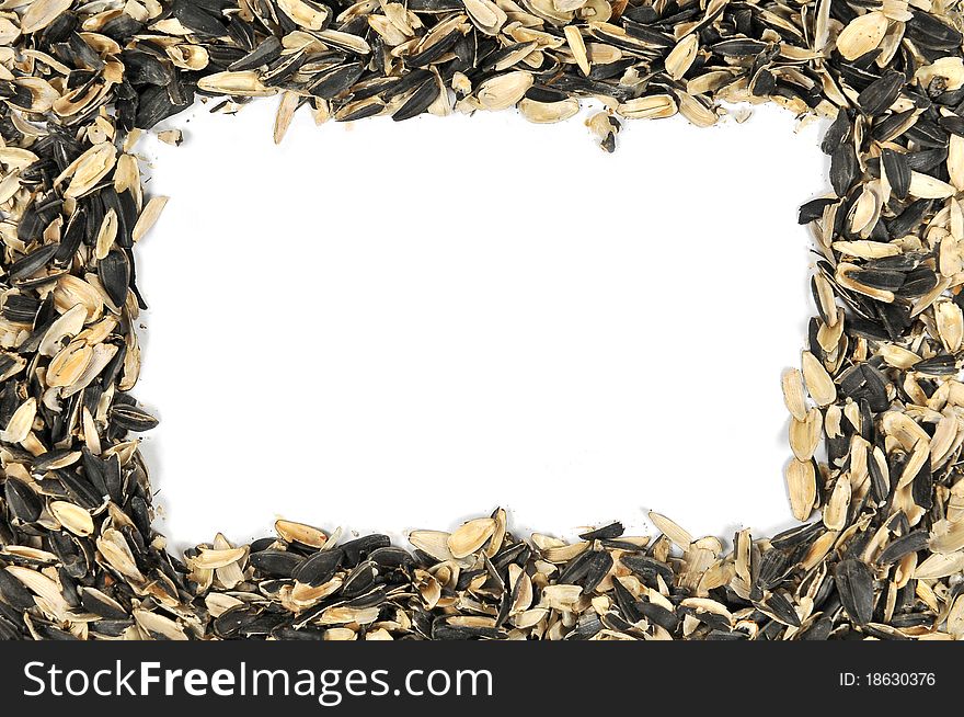 Frame. shells of sunflower seeds. Frame. shells of sunflower seeds
