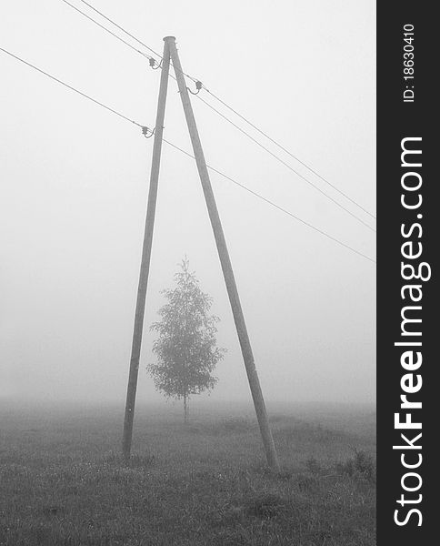 The tree and column in a fog. The tree and column in a fog