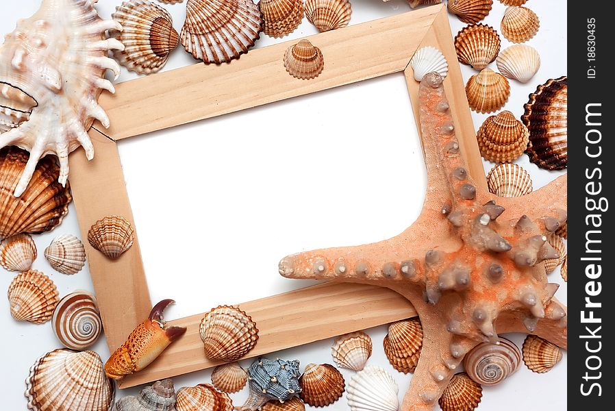 Holiday beach concept with shells, sea stars and blank postcard