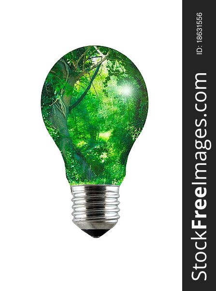 A beautiful green forest within a lightbulb. A beautiful green forest within a lightbulb