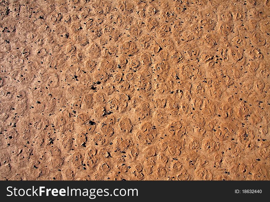 Dry cracked dirt surface of verneukpan, a large saltpan in south africa