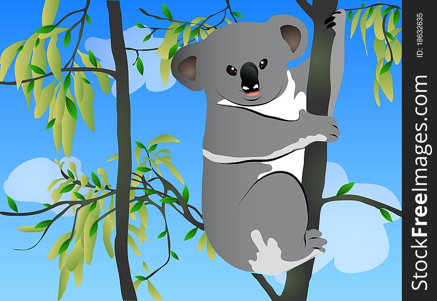 Koala sitting on a eucalyptus tree