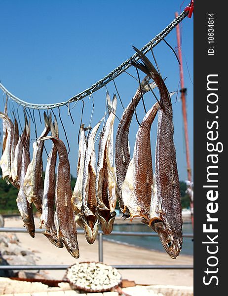 dried salty fish, traditional food of china and hong kong. dried salty fish, traditional food of china and hong kong