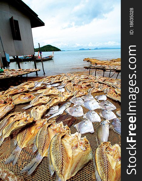 Dried Fish on The Net. The image was made from a fishing village near Phuket. In Koh Lanta