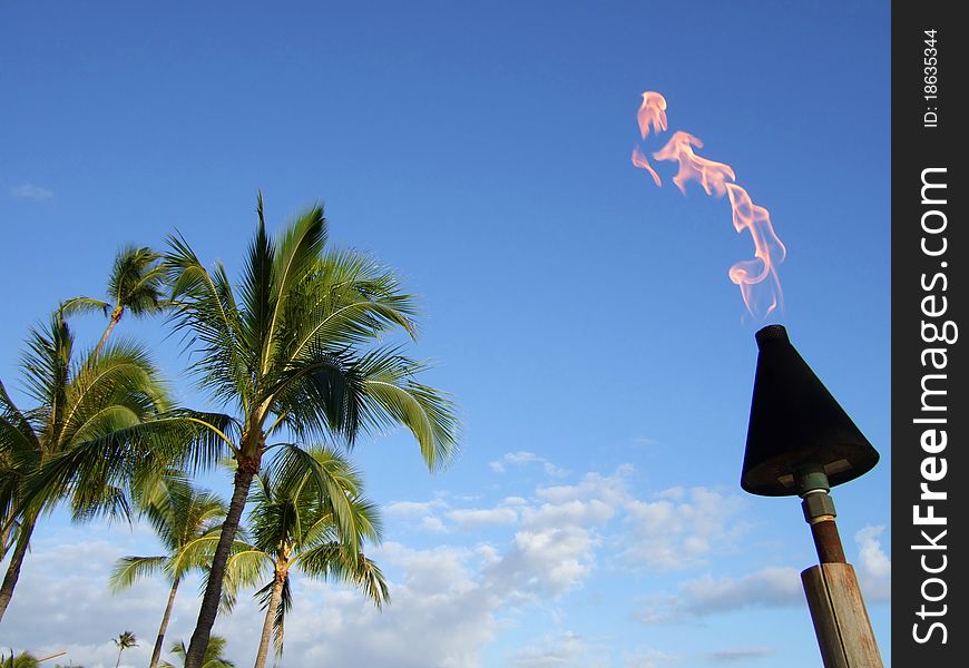 Palm trees, fire and blue sky. This is an image of resort in Hawaii. Palm trees, fire and blue sky. This is an image of resort in Hawaii.