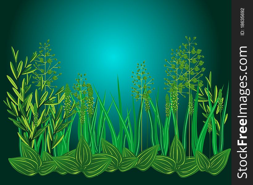 Green grass against dark background – night or twilight. Green grass against dark background – night or twilight