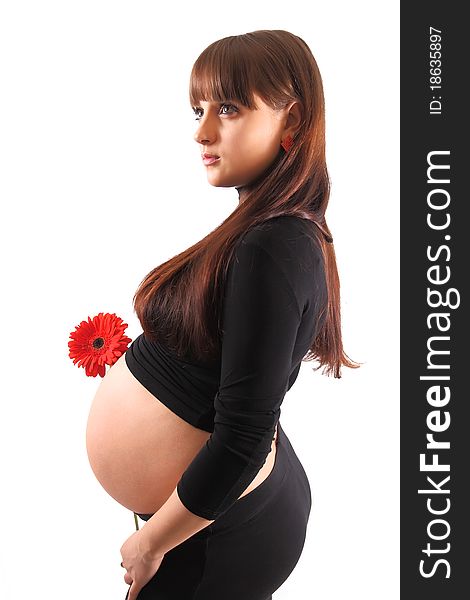 Pregnant female on a white background. Pregnant female on a white background