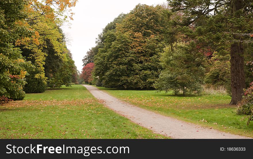 Trees in the Autumn at Westonbirt Arboretum, UK