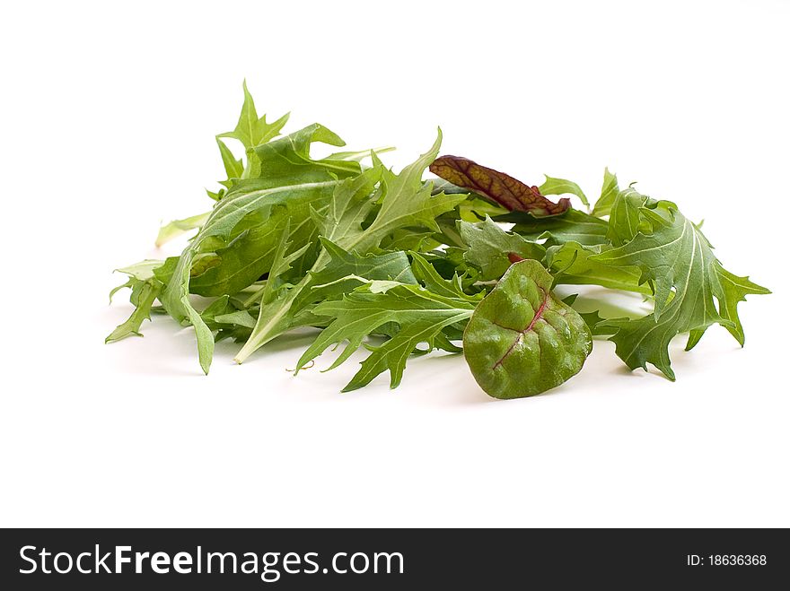 Fresh green salad with white background. Fresh green salad with white background