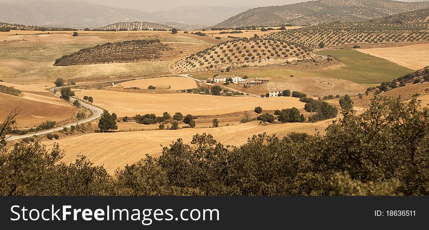 Spanish Farmhouse surrounded by cornfields, near Ronda, Andalusia, Spain