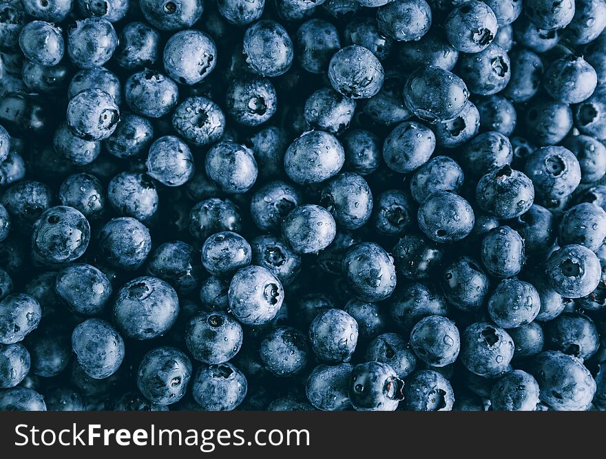 Fresh huckleberry full frame food background. The concept of healthy food and summer eating