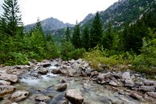 Mountain Stream Royalty Free Stock Photos Mountain Stream Royalty Free Stock Photos