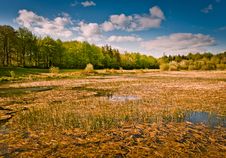 Lake In  Park On Sunny Day, Ireland Royalty Free Stock Images