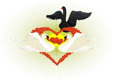 Rival In Love Stock Photography Rival In Love Stock Photography