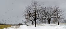 A Foggy Evening In Winter Royalty Free Stock Photo A Foggy Evening In Winter Royalty Free Stock Photo