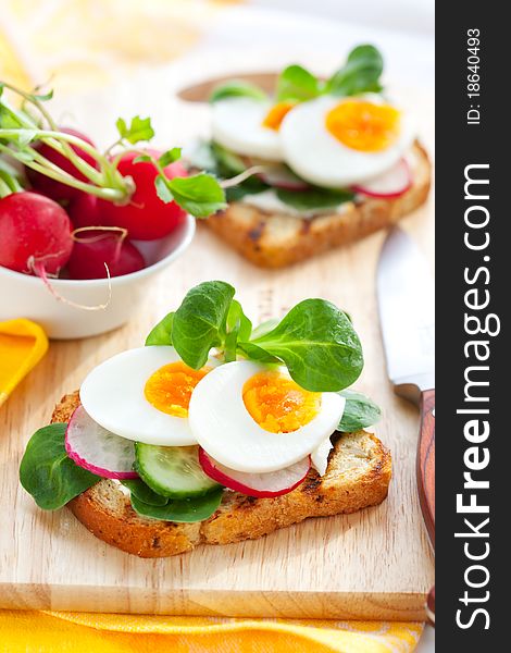 Fresh toast sandwiches with egg,radish,cucumber and soft cheese