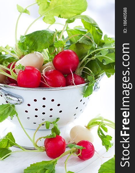 Fresh Radish